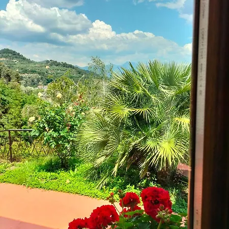 Casa Magnolia 아파트