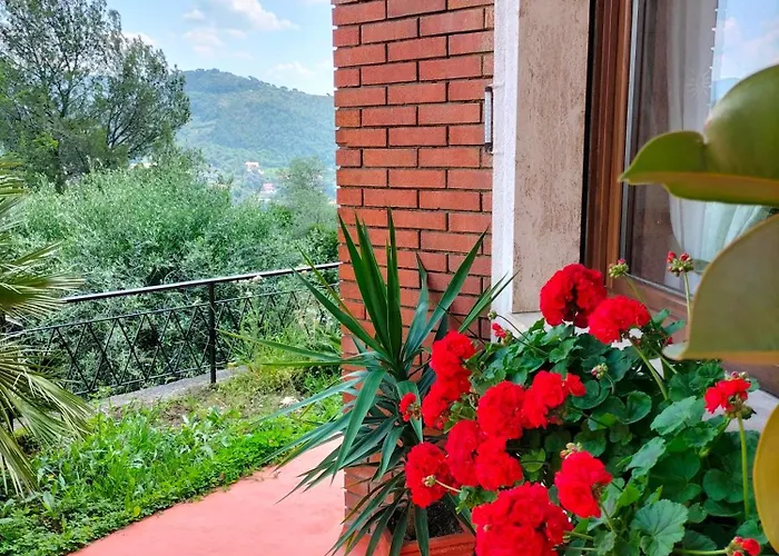 Daire Casa Magnolia *